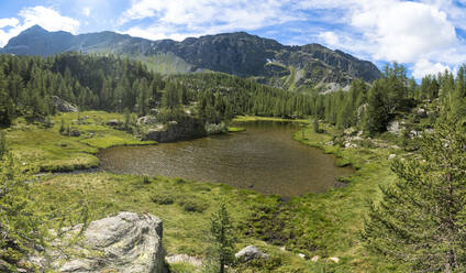 Mufule-See umrahmt von grünem Wald und Bergen im Sommer, Valmalenco, Valtellina, Provinz Sondrio, Lombardei, Italien, Europa - RHPLF20947