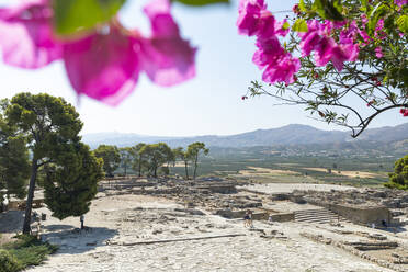 Blumen umrahmen die alten Ruinen des minoischen Palastes von Phaistos, archäologische Stätte aus der Bronzezeit auf der Insel Kreta, Griechische Inseln, Griechenland, Europa - RHPLF20961