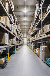 Boxes arranged on racks in factory - DIGF16973