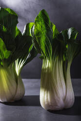 Gesunde frische Bok Choy Kohlblätter Gemüse auf schwarzem Tisch vor dunklem Hintergrund platziert - ADSF32182