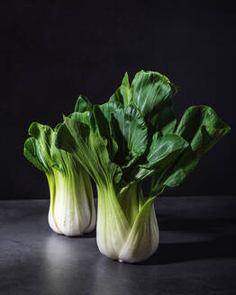Gesunde frische Bok Choy Kohlblätter Gemüse auf schwarzem Tisch vor dunklem Hintergrund platziert - ADSF32183