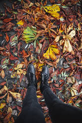 Woman standing on autumn leaves in forest - CHPF00812