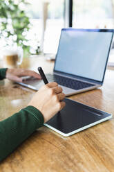 Businesswoman with laptop using graphics tablet at cafe - PNAF02617