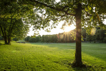 Deutschland, Bayern, München, Westpark bei Frühlings-Sonnenuntergang - MAMF01991