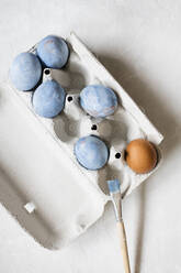 Studioaufnahme eines Eierkartons mit blau bemalten Hühnereiern - EVGF03949