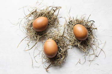 Studio shot of three chicken eggs lying on hay against white background - EVGF03951