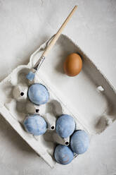 Studioaufnahme eines Eierkartons mit blau bemalten Hühnereiern - EVGF03952