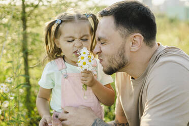 Playful father and daughter smelling daisies - SEAF00195