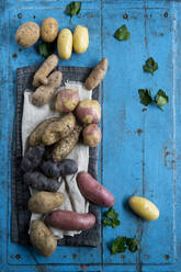 Studioaufnahme von verschiedenen Sorten roher Kartoffeln, die auf einer blau gestrichenen Holzfläche liegen - ASF06793