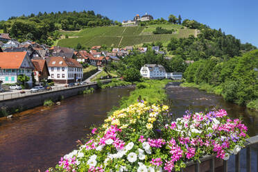 Schloss Eberstein, Gernsbach, Murgtal, Schwarzwald, Baden Württemberg, Deutschland, Europa - RHPLF21078