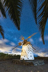 Palmen umrahmen eine einsame Windmühle unter der Milchstraße, El Cotillo, La Oliva, Fuerteventura, Kanarische Inseln, Spanien, Atlantik, Europa - RHPLF21080