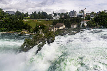 Rheinfall, Schaffhausen, Schweiz, Europa - RHPLF21098