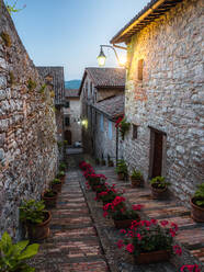 Eine bunte Gasse voller Blumen zur blauen Stunde in Gubbio, Umbrien, Italien, Europa - RHPLF21116