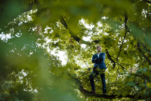 Businessman with arms crossed standing on tree branch - GUSF06520