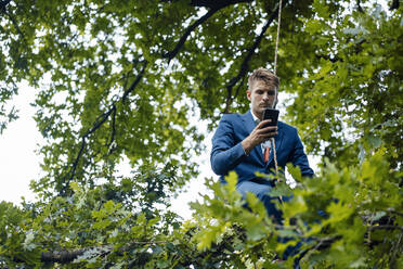 Serious businessman using smart phone sitting on tree branch with rope - GUSF06537