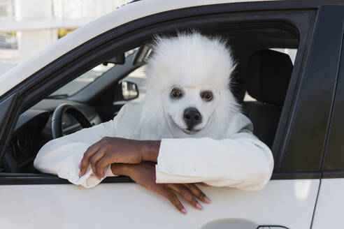 Frau mit Hundemaske schaut aus dem Autofenster - JRVF02175