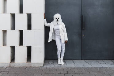 Woman wearing dog mask leaning by white wall in front of closed door - JRVF02191