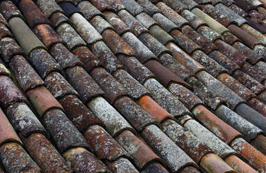 Full frame of weathered tiles of old roof - WWF05860