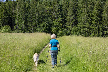 Frau mit Golden Retriever beim Wandern im Gras - MAMF01992