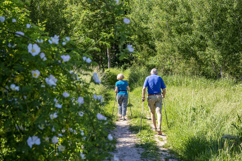 Älteres Paar mit Nordic-Walking-Stöcken, das im Wald im Gras läuft - MAMF01993