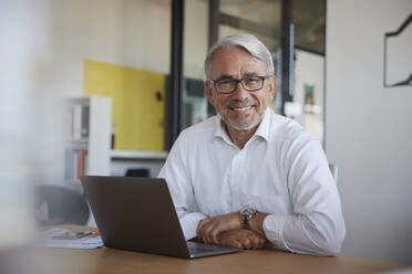 Smiling businessman with laptop in office - RBF08383