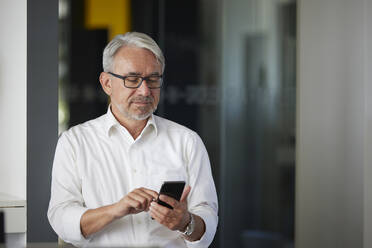 Reifer Geschäftsmann, der im Büro ein Mobiltelefon benutzt - RBF08390