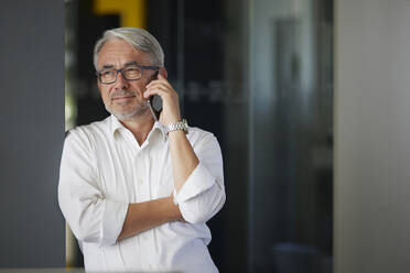 Mature businessman talking on mobile phone at office - RBF08391