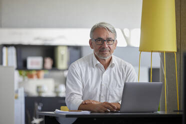 Älterer Geschäftsmann mit Laptop auf dem Tisch im Büro - RBF08417
