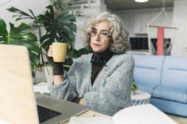 Ältere Geschäftsfrau mit Kaffeetasse vor dem Laptop im Heimbüro - JCCMF04754