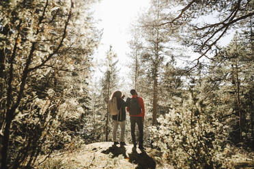 Rear view of couple standing in forest on sunny day - MASF27189