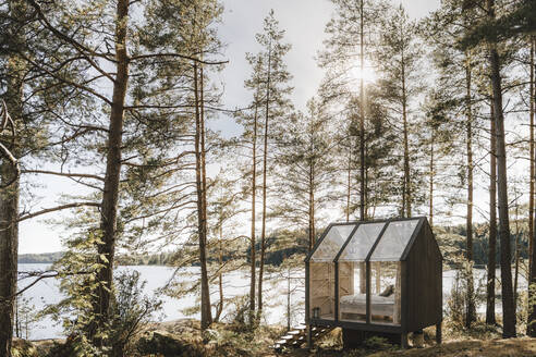 Glass cottage amidst trees near lake in forest on sunny day - MASF27256