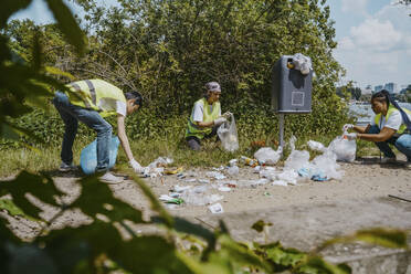 Umweltschützerinnen und Umweltschützer säubern Müll in einem Park - MASF27337