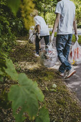 Umweltschützerinnen und Umweltschützer sammeln Müll im Park auf - MASF27365