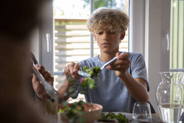 Pre-adolescent boy eating food in dining room at home - MASF27507