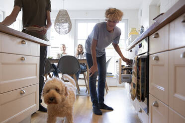 Lächelnder Junge sieht Hund in Küche mit Familie im Hintergrund an - MASF27517