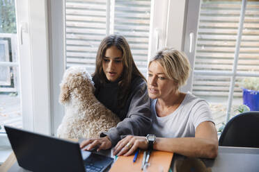 Mädchen beim E-Learning am Laptop, während sie mit Mutter und Hund zu Hause sitzt - MASF27534
