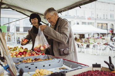 Älteres Ehepaar kauft Äpfel an einem Stand auf dem örtlichen Markt - MASF27893