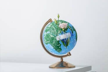 Globus des Planeten Erde mit Blumen, die mit einem medizinischen Pflaster auf einer weißen Fläche befestigt sind - ADSF32727