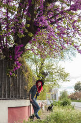 Smiling woman looking at flowers on tree leaning near fence - MRRF01751