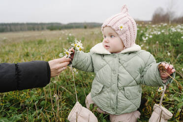 Mutter schenkt ihrer Tochter Kamillenblüten auf einer Wiese - EYAF01820