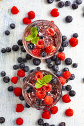 Two glasses of gin tonic with mint, ice cubes and raw berries - GIOF14360