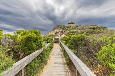 Boardwalk leading to Coppins Lookout - FOF12345