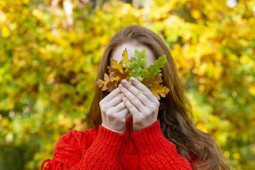 Redhead woman hiding face with autumn leaves in forest - EIF02687