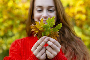 Junge Frau mit Herbstblättern im Wald - EIF02688