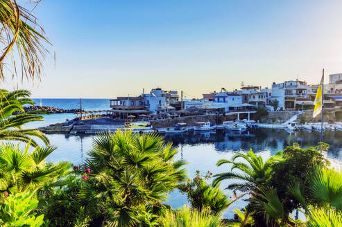 Griechenland, Kreta, Sissi, Yachthafen des Küstendorfs mit Palmen im Vordergrund - THAF02999