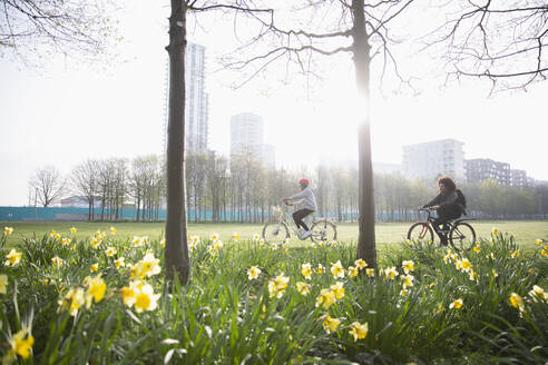 Junge erwachsene Freunde fahren Fahrrad in einem sonnigen städtischen Frühlingspark - CAIF31895