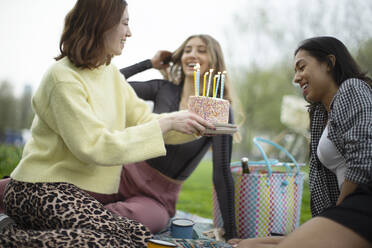 Junge Freundinnen feiern Geburtstag mit Kuchen im Park - CAIF31900