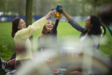 Glückliche junge Frauen stoßen beim Picknick im Park mit Gläsern an - CAIF31906