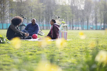 Glücklicher Vater und Kinder auf einer Decke im Frühlingspark - CAIF31932