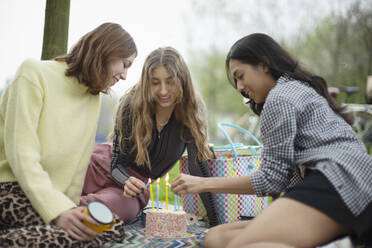 Junge Freundinnen feiern Geburtstag mit Kuchen im Park - CAIF31948